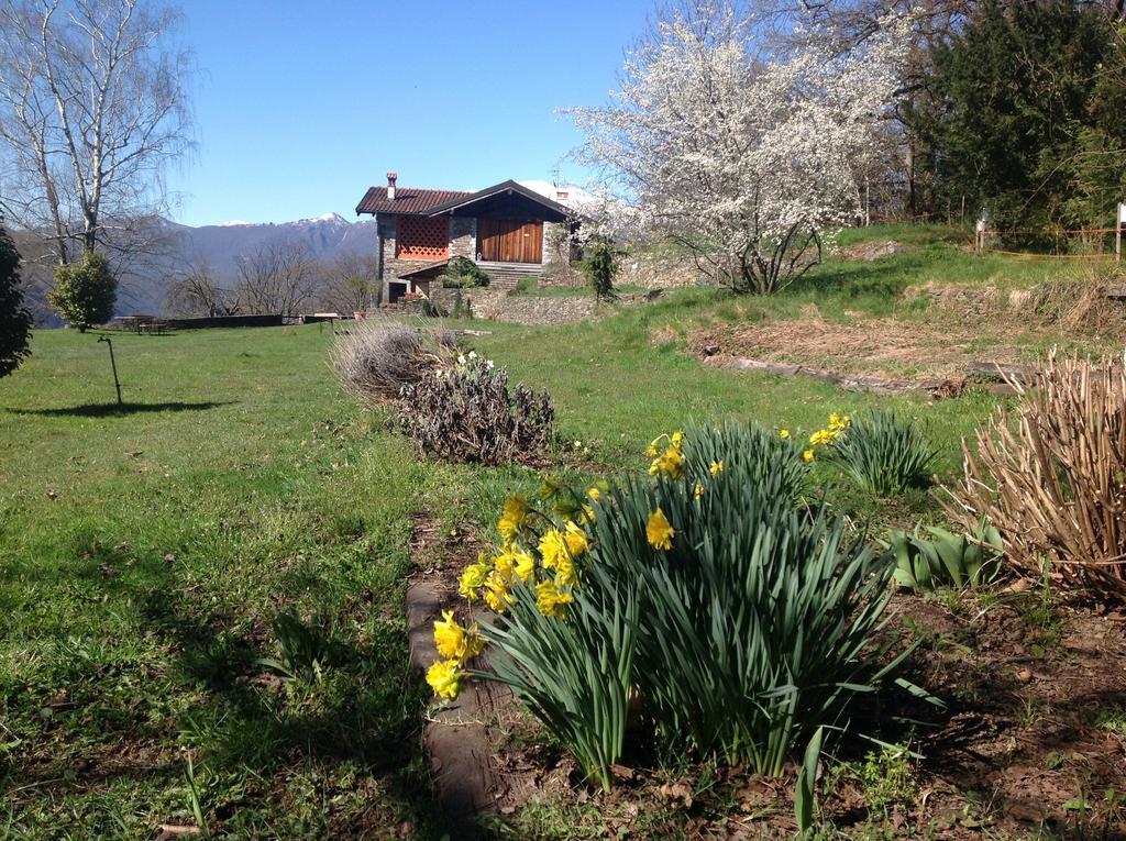 Il Ciliegio Selvatico Apartment Verbania Exterior photo