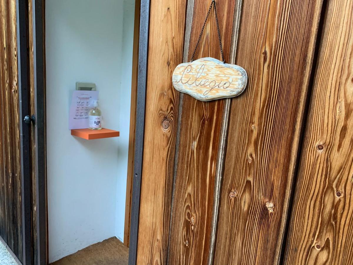 Il Ciliegio Selvatico Apartment Verbania Exterior photo